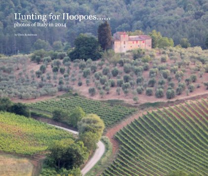 Hunting for Hoopoes...... photos of Italy in 2014 book cover