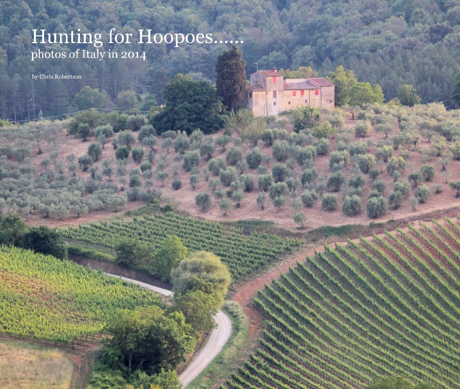 View Hunting for Hoopoes...... photos of Italy in 2014 by Chris Robertson