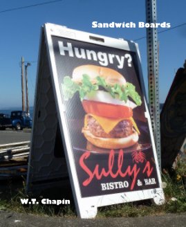 Sandwich Boards book cover