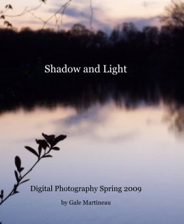 Shadow and Light book cover