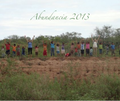 Abundancia 2013 book cover