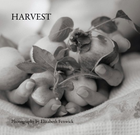 Ver HARVEST por Photography by Elizabeth Fenwick