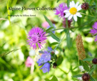 Alpine Flower Collection book cover