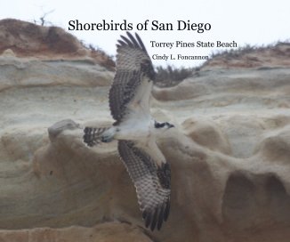 Shorebirds of San Diego book cover