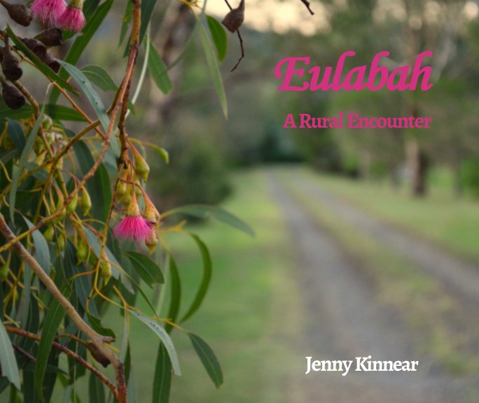 View Eulabah by Jenny Kinnear