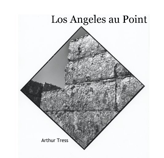 View Los Angeles au Point by Arthur Tress