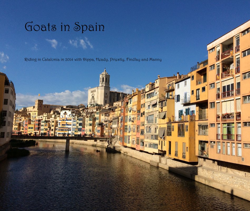 View Goats in Spain by John Head