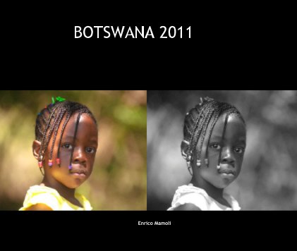 BOTSWANA 2011 book cover