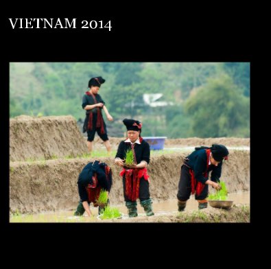 VIETNAM 2014 book cover