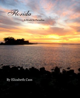 Florida A Week In Paradise book cover