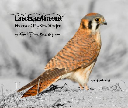 Enchantment book cover