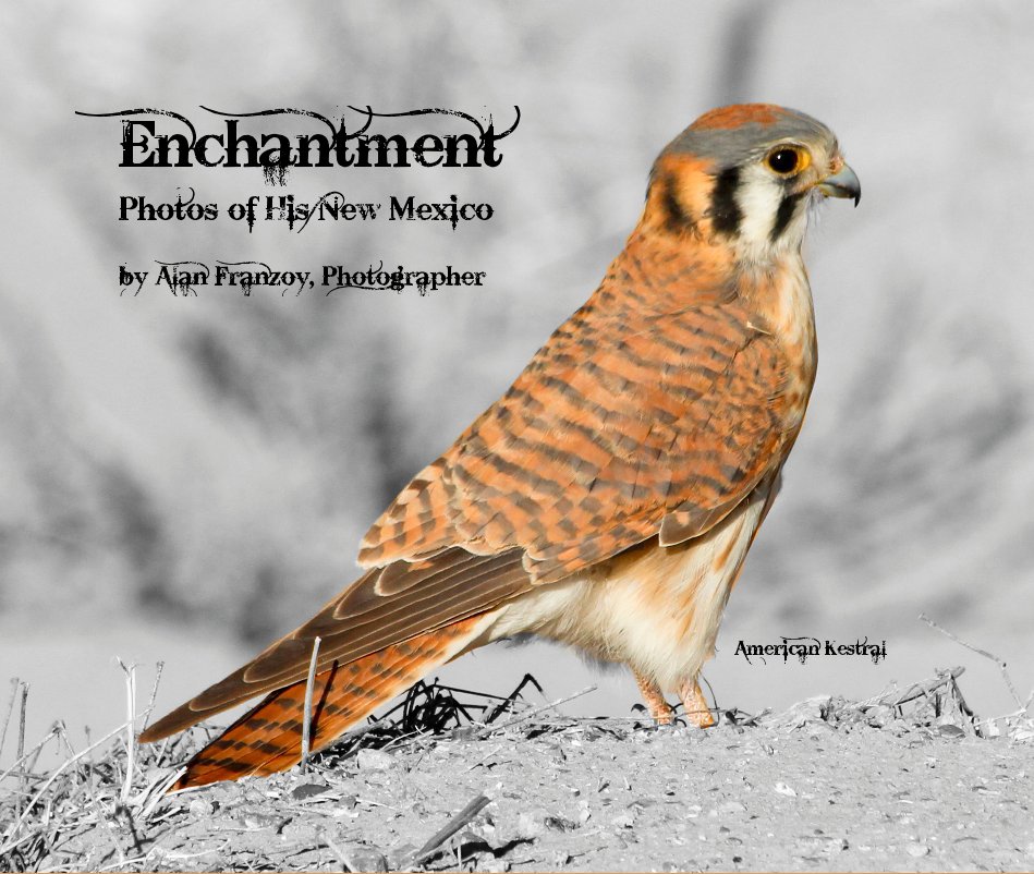 View Enchantment by Alan Franzoy, Photographer
