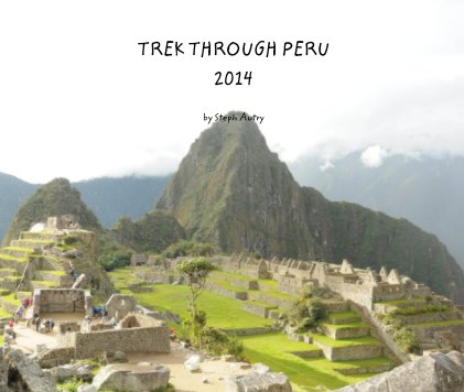 TREK THROUGH PERU 2014 book cover