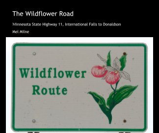 The Wildflower Road book cover