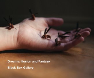 Dreams: Illusion and Fantasy book cover