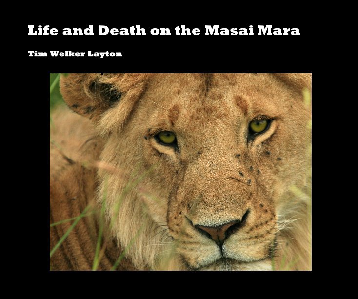 View Life and Death on the Masai Mara by Tim Welker Layton