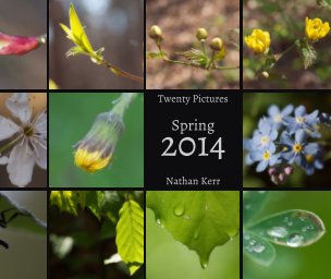 Twenty Picture: Spring 2014 book cover