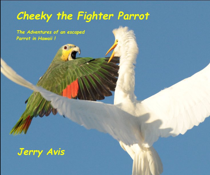View Cheeky the Fighter Parrot by Jerry Avis