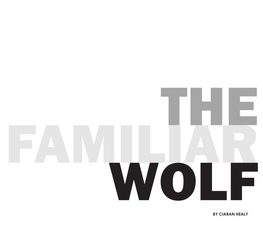 View The Familiar Wolf by Ciaran Healy