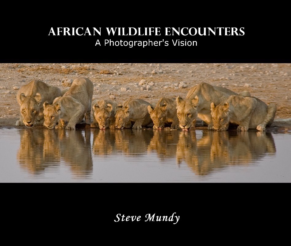 View African Wildlife Encounters by Steve Mundy