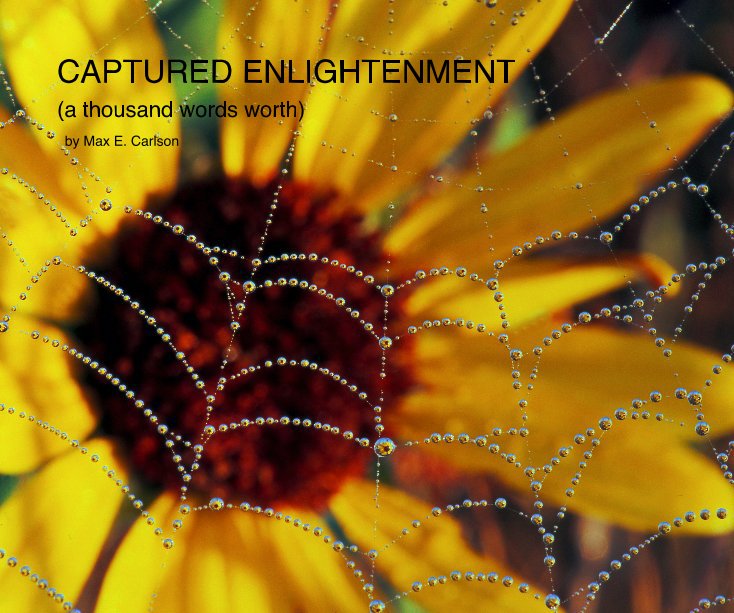 View CAPTURED ENLIGHTENMENT by Max E. Carlson