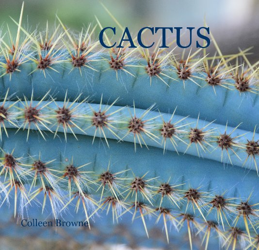 View CACTUS by Colleen Browne