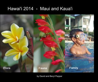 Hawai'i 2014 - Maui and Kaua'i book cover