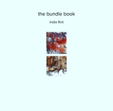 the bundle book book cover