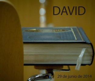 David book cover