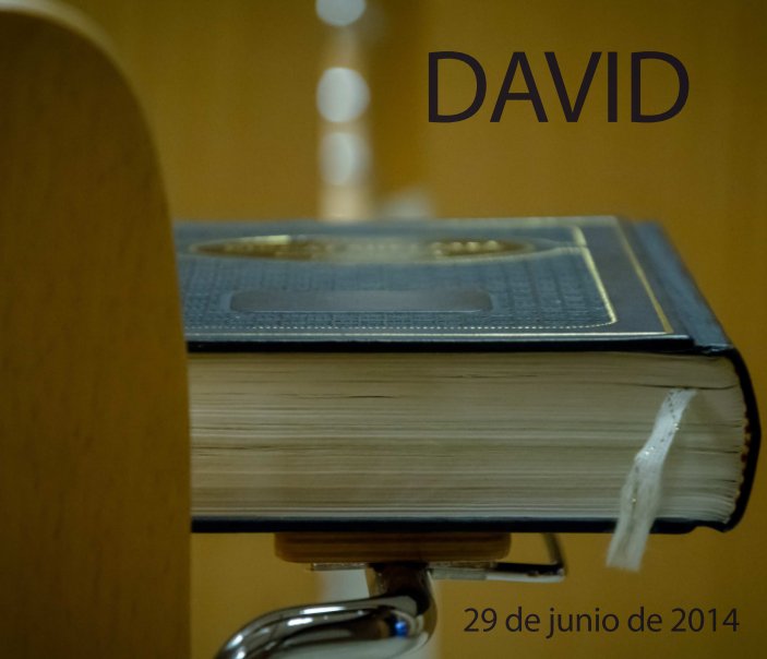 View David by Claudina Van Megroot