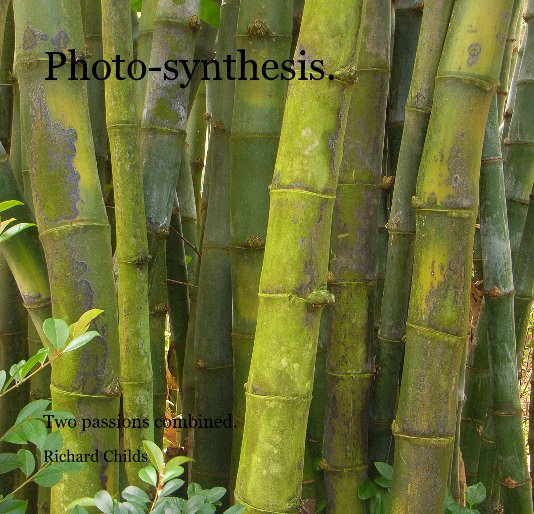 View Photo-synthesis. by Richard Childs