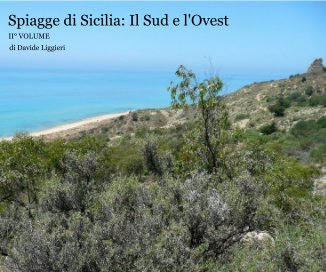 Spiagge di Sicilia: Il Sud e l'Ovest book cover