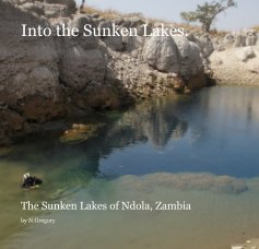 Into the Sunken Lakes. book cover