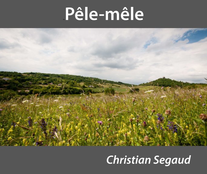 View Pêle-mêle by Christian Segaud