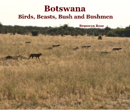 Botswana book cover