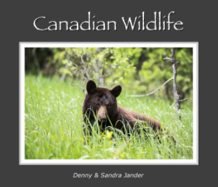 Canadian Wildlife book cover