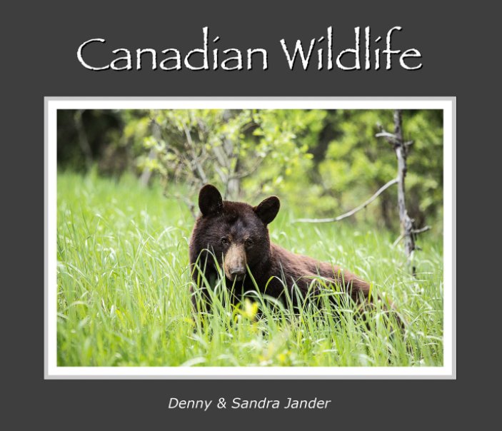 View Canadian Wildlife by Denny & Sandra Jander