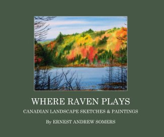 WHERE RAVEN PLAYS book cover