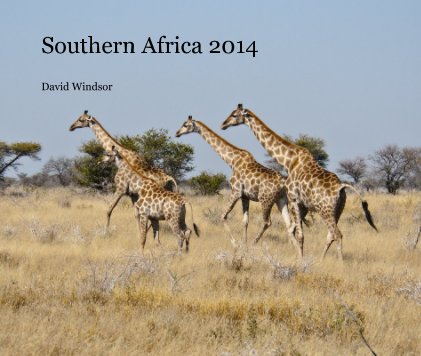 Southern Africa 2014 book cover