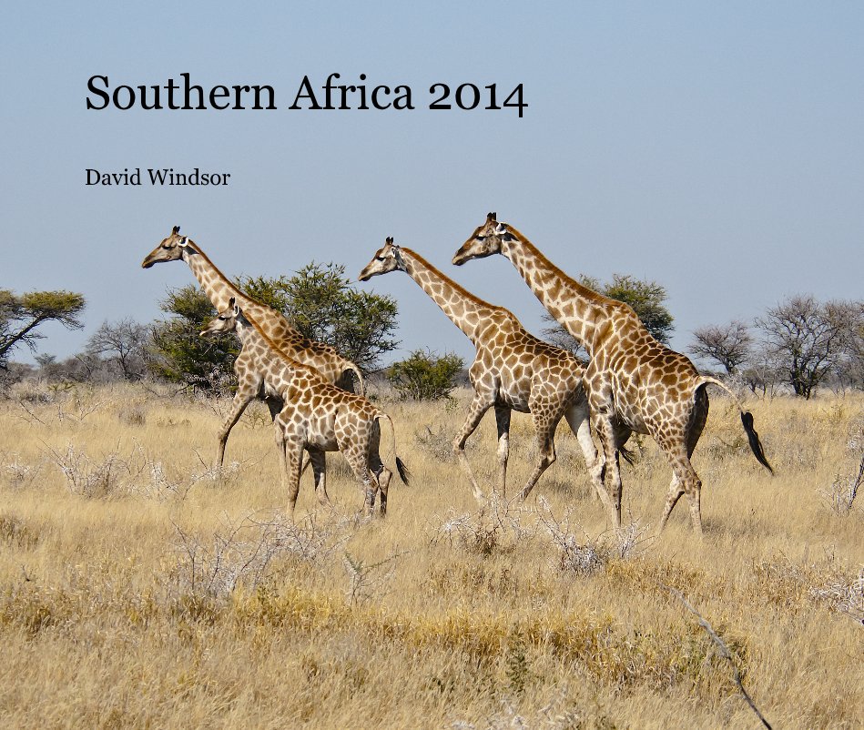 View Southern Africa 2014 by David Windsor