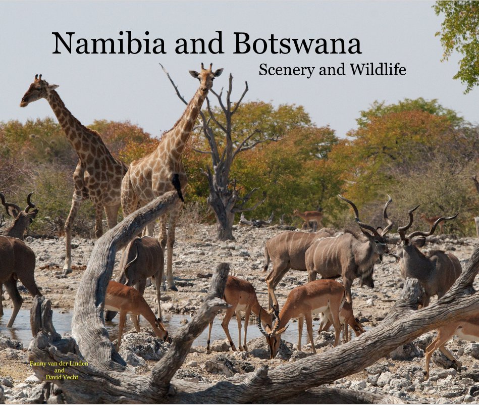 View Namibia and Botswana Scenery and Wildlife by Fanny van der Linden