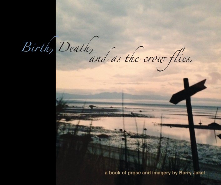 View Birth, Death, and as the crow flies by Barry Jakel