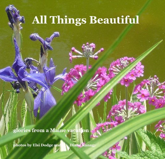 View All Things Beautiful by photos by Elsi Dodge and Diane Kanagy