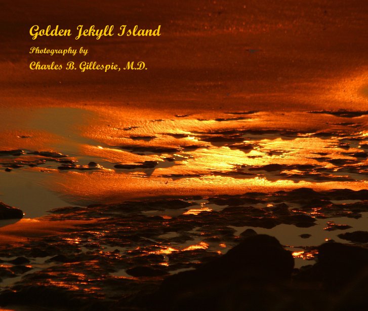View Golden Jekyll Island by Charles B. Gillespie, M.D.