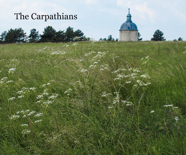 View The Carpathians by Victor Bloomfield