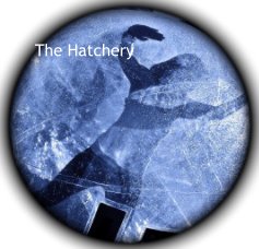 The Hatchery book cover