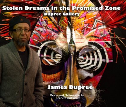 stolen dreams in the promised zone book cover