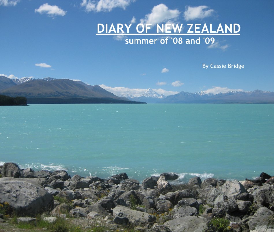 View DIARY OF NEW ZEALAND by Cassie Bridge