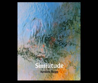 Similitude book cover