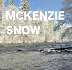 MCKENZIE SNOW book cover
